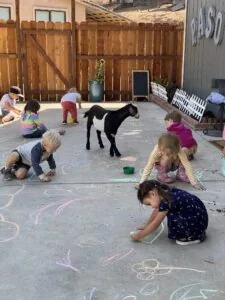 Children drawing with chalk on pavement while a black and white dog walks through the outdoor courtyard area.