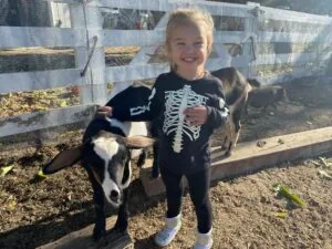 Young child in skeleton costume petting a black and white goat in a farm pen